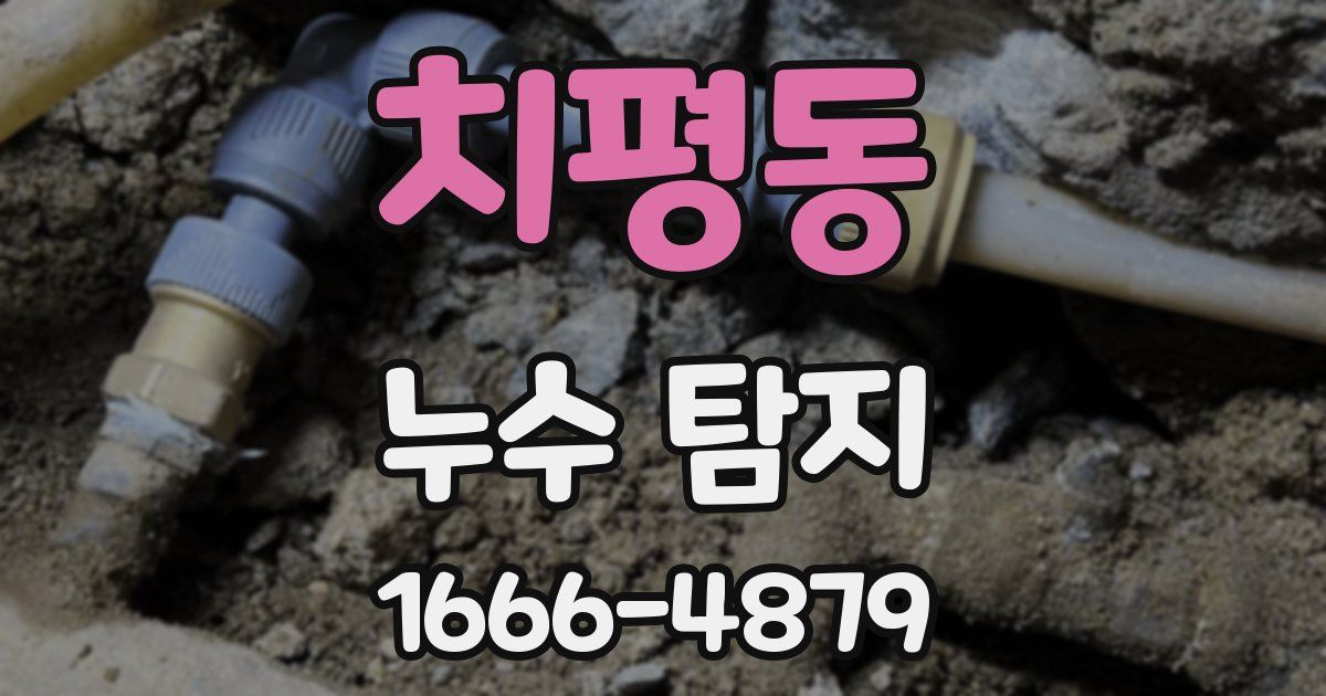 치평동 누수 탐지