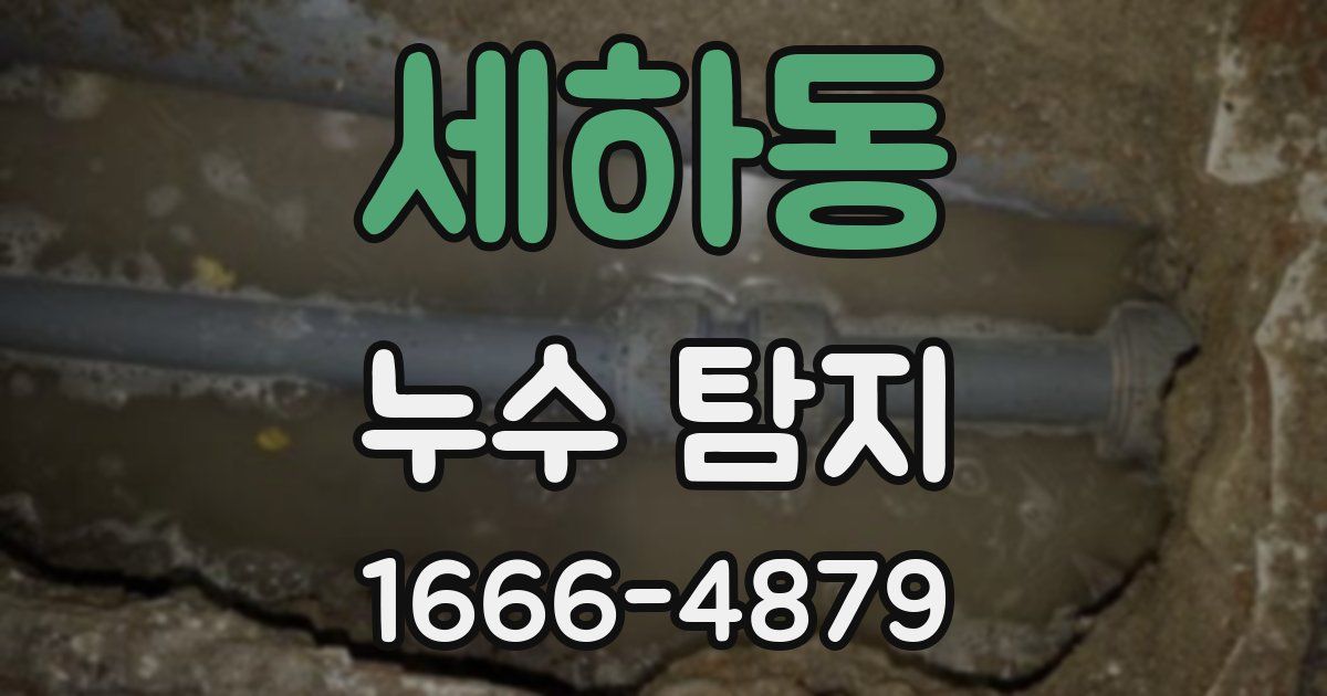 세하동 누수 탐지