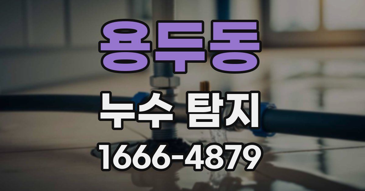 용두동 누수 탐지