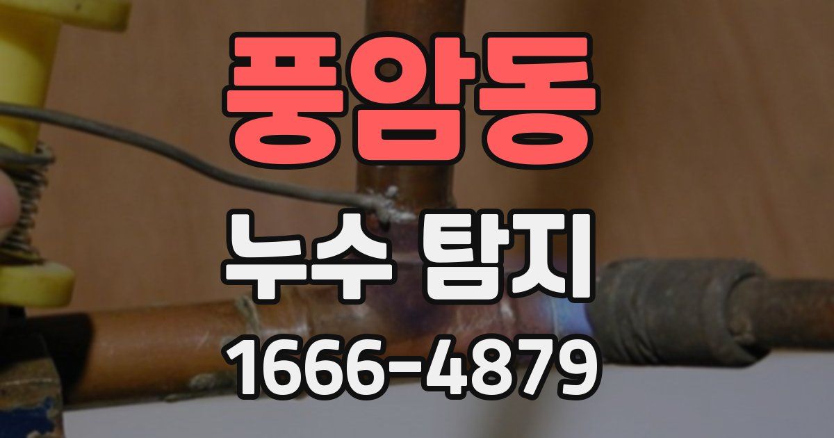풍암동 누수 탐지