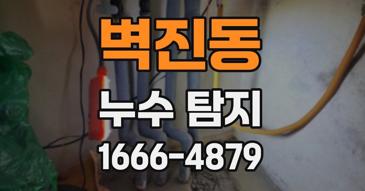 벽진동 누수 탐지