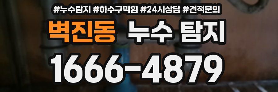 벽진동 누수 탐지