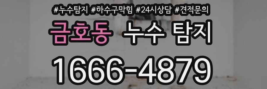 금호동 누수 탐지