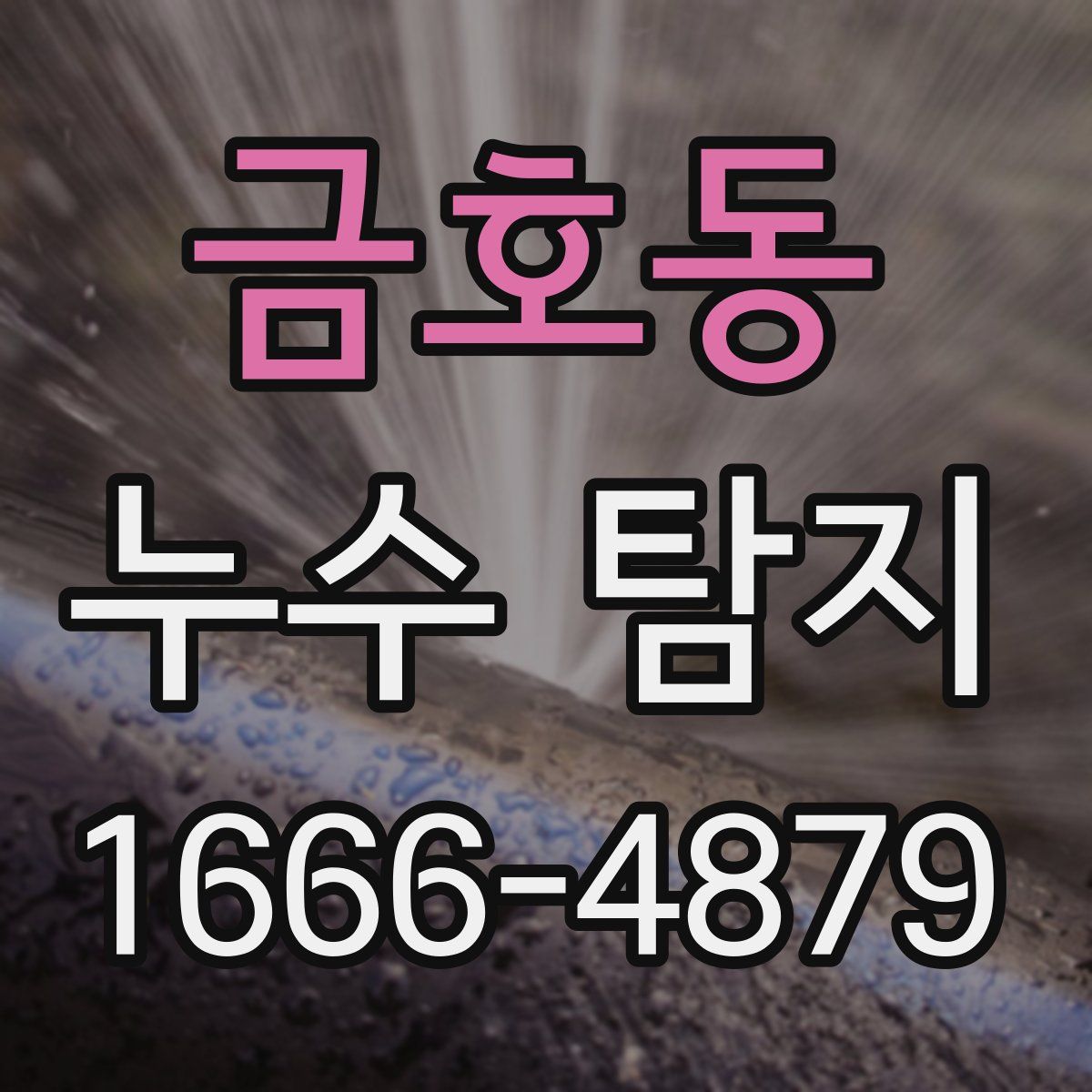 금호동 누수 탐지