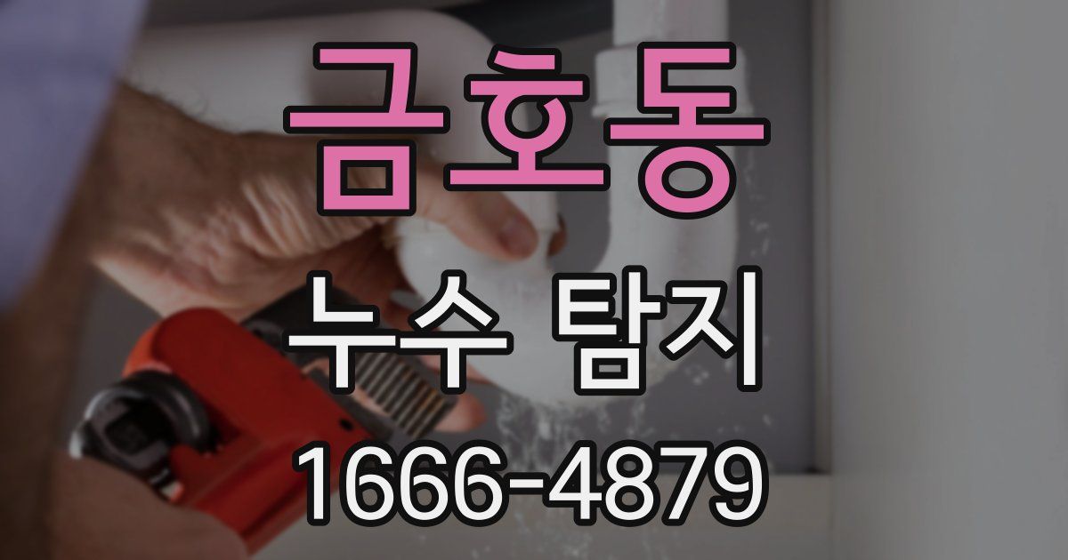 금호동 누수 탐지