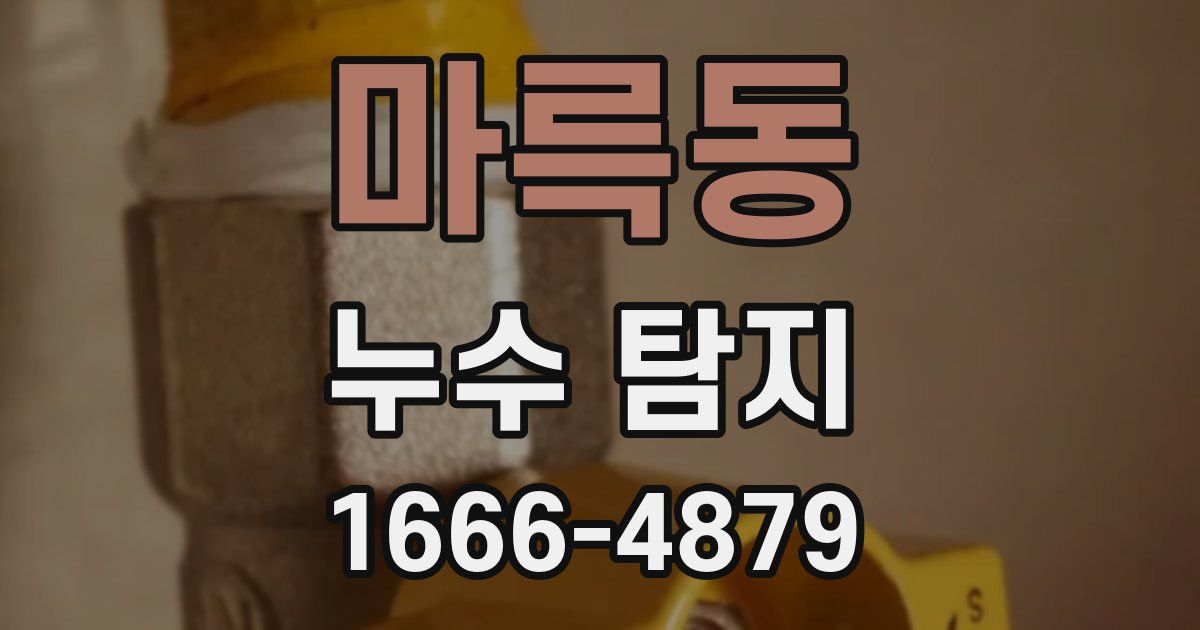 마륵동 누수 탐지