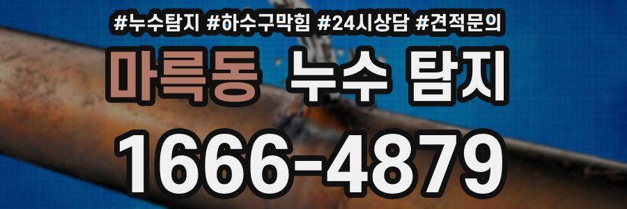 마륵동 누수 탐지