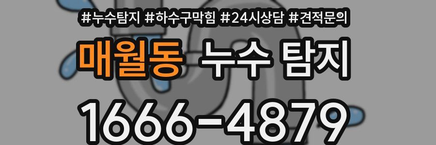 매월동 누수 탐지