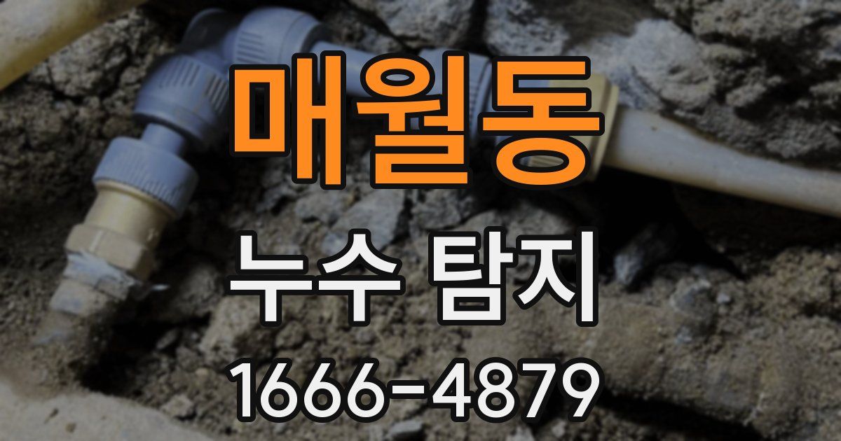 매월동 누수 탐지