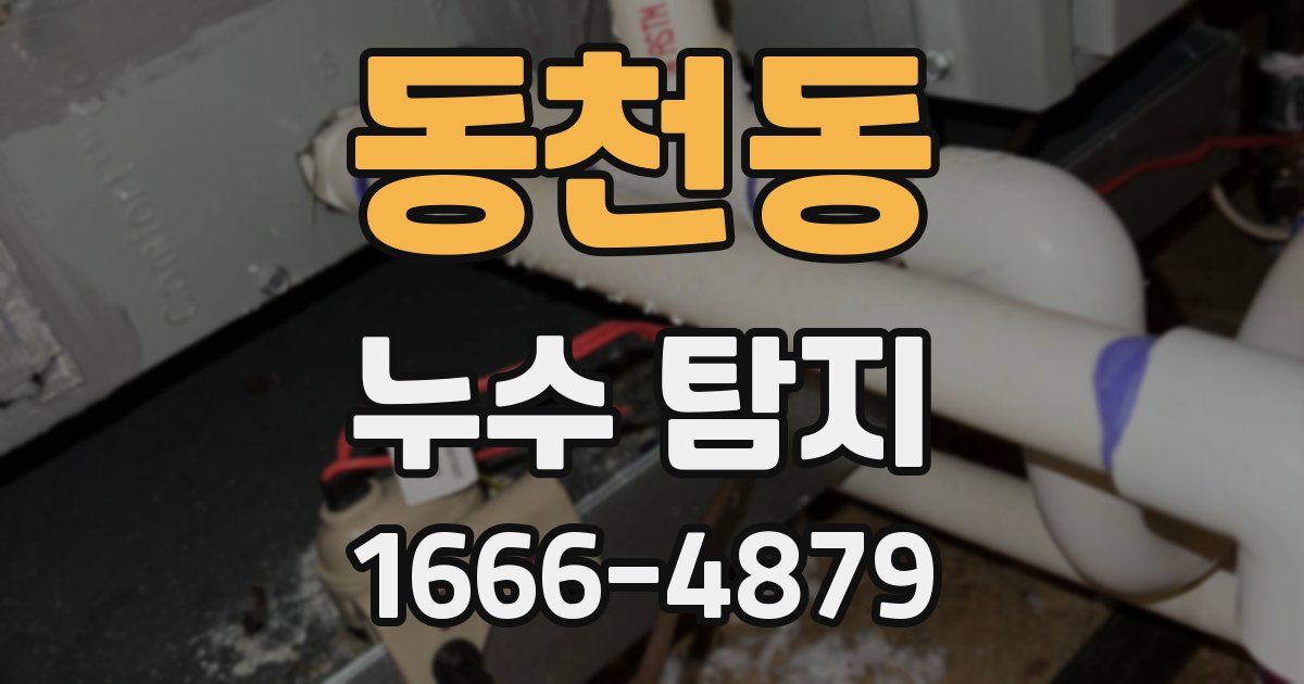 동천동 누수 탐지