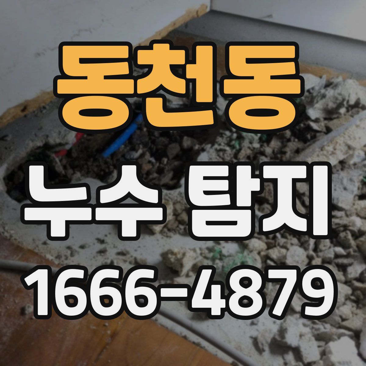 동천동 누수 탐지