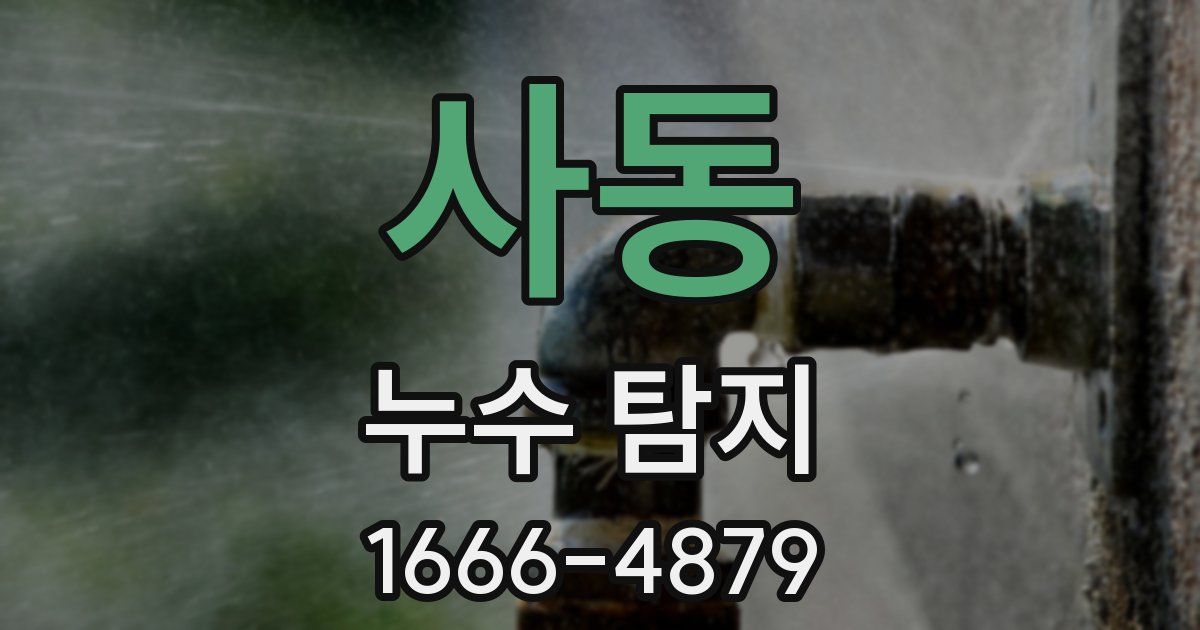 사동 누수 탐지
