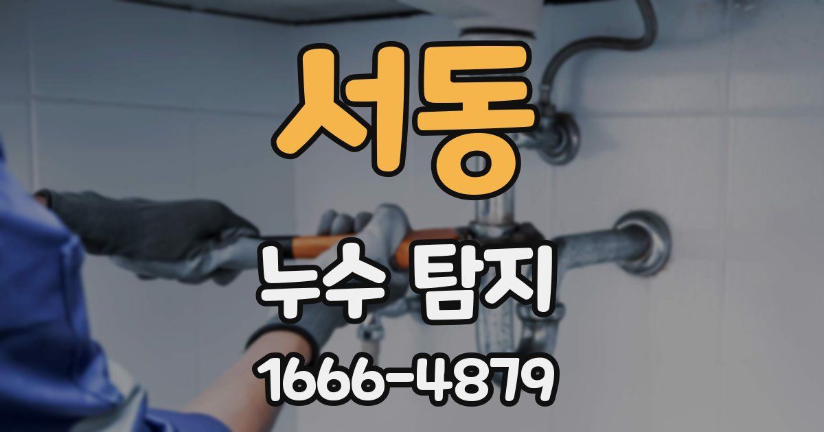 서동 누수 탐지
