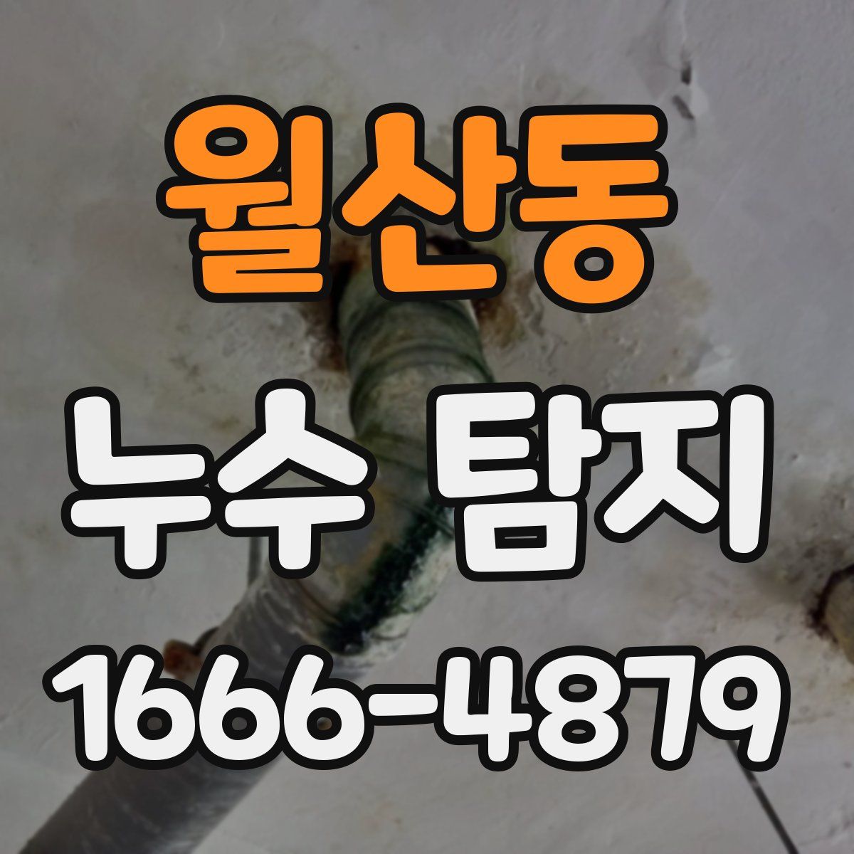 월산동 누수 탐지