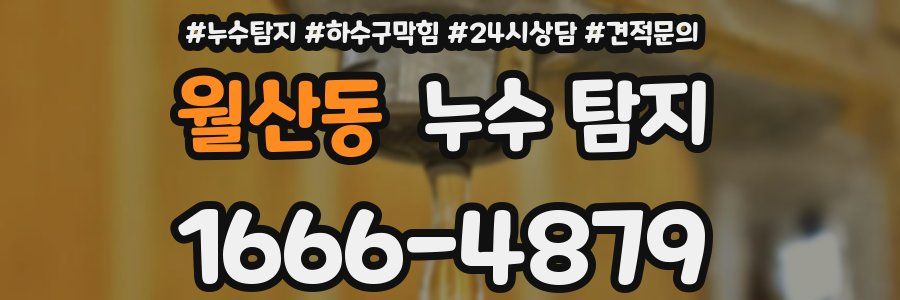 월산동 누수 탐지