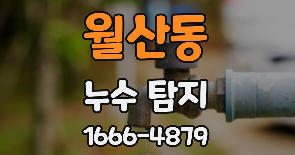 월산동 누수 탐지