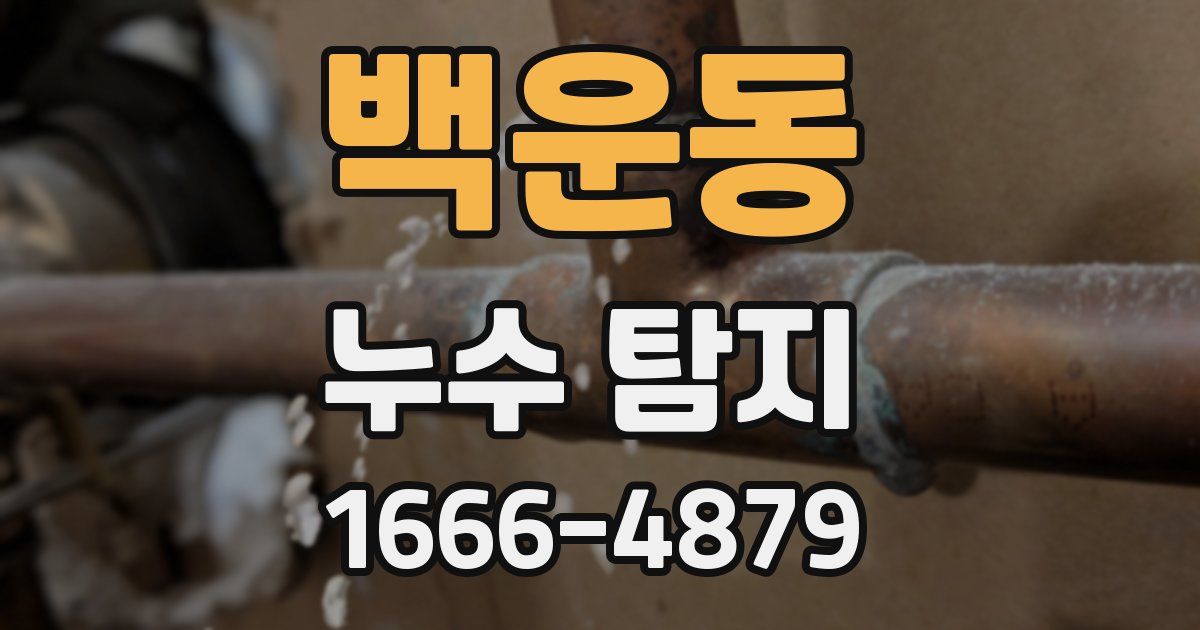 백운동 누수 탐지