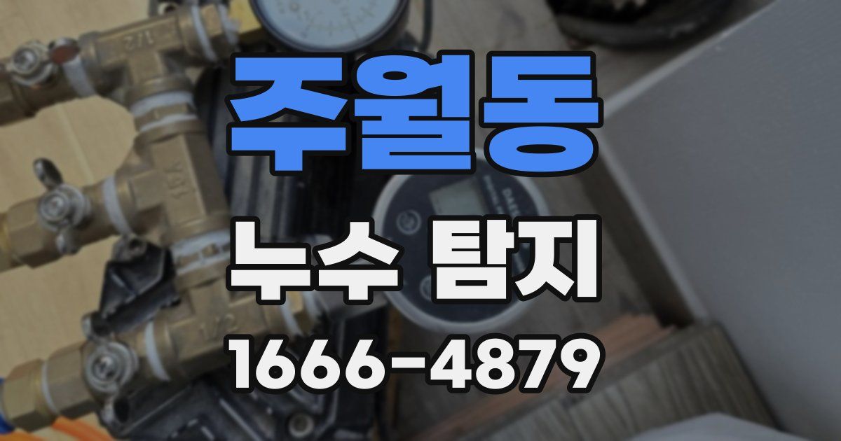 주월동 누수 탐지