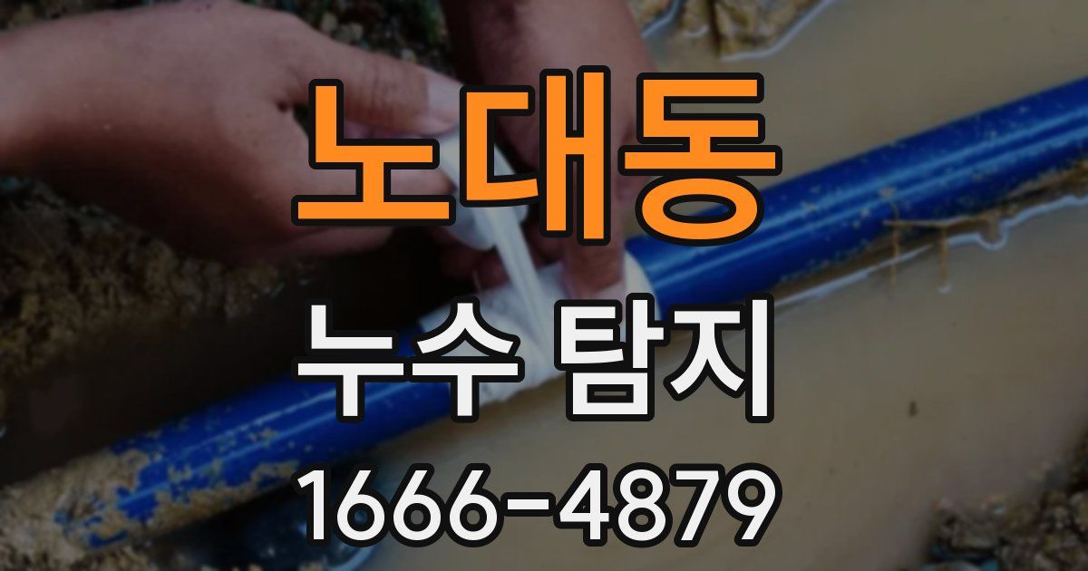 노대동 누수 탐지