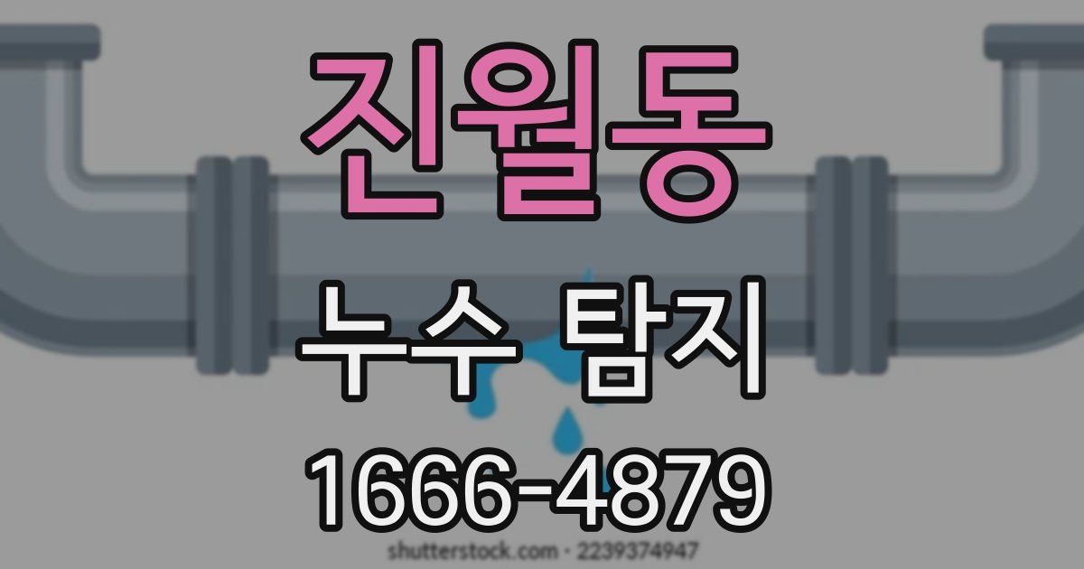 진월동 누수 탐지