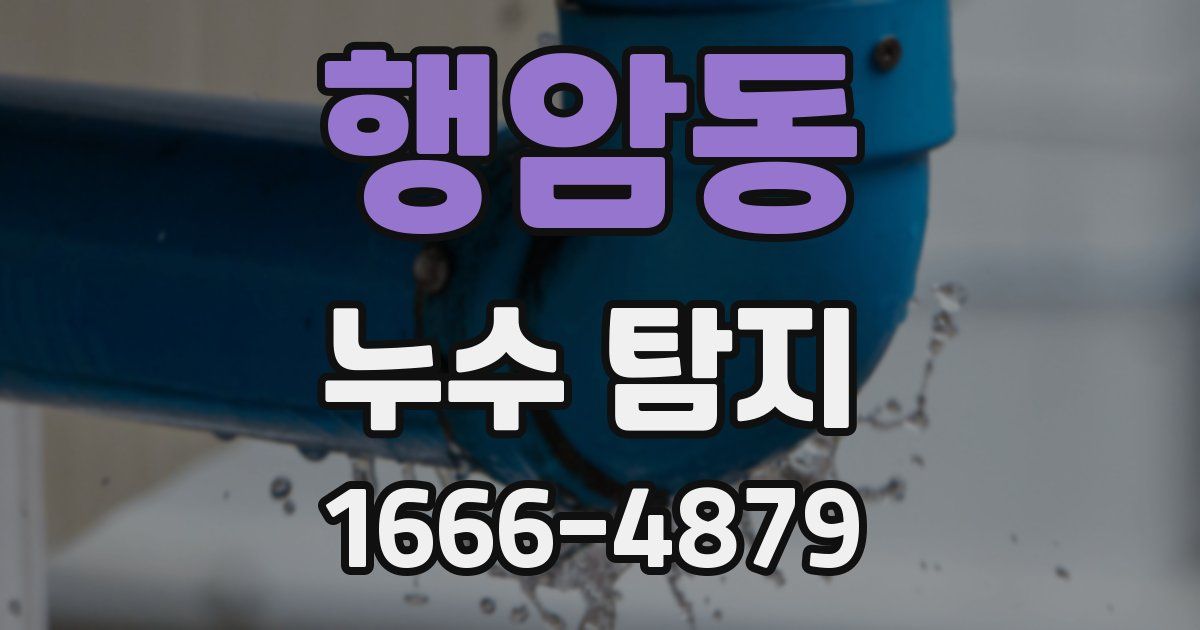 행암동 누수 탐지