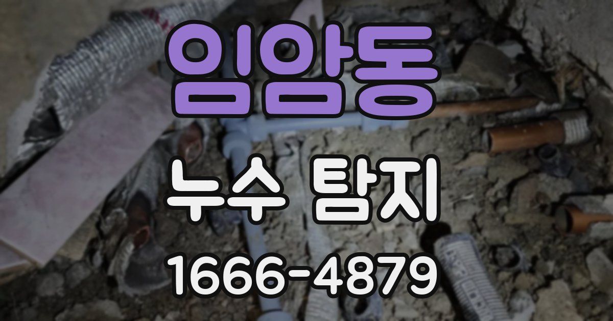 임암동 누수 탐지