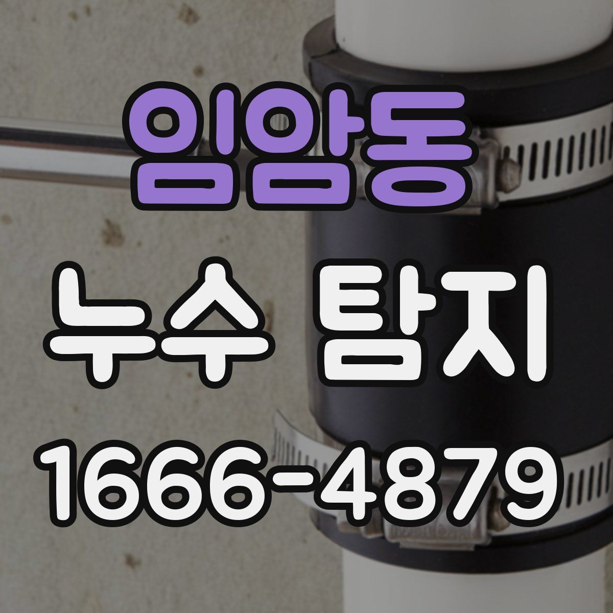 임암동 누수 탐지