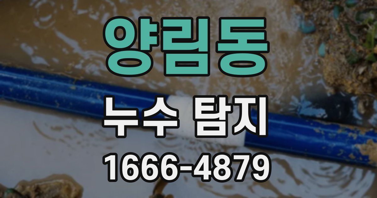 양림동 누수 탐지