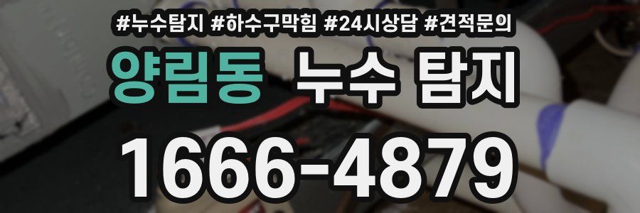 양림동 누수 탐지