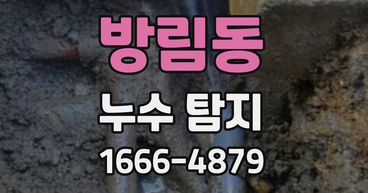 방림동 누수 탐지