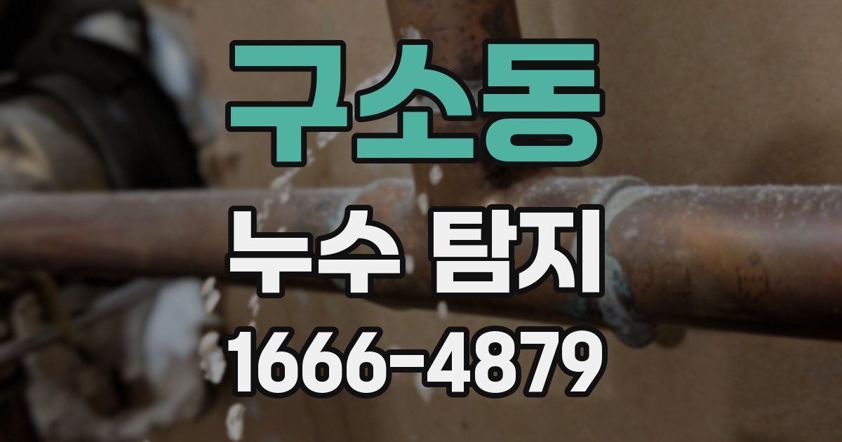 구소동 누수 탐지