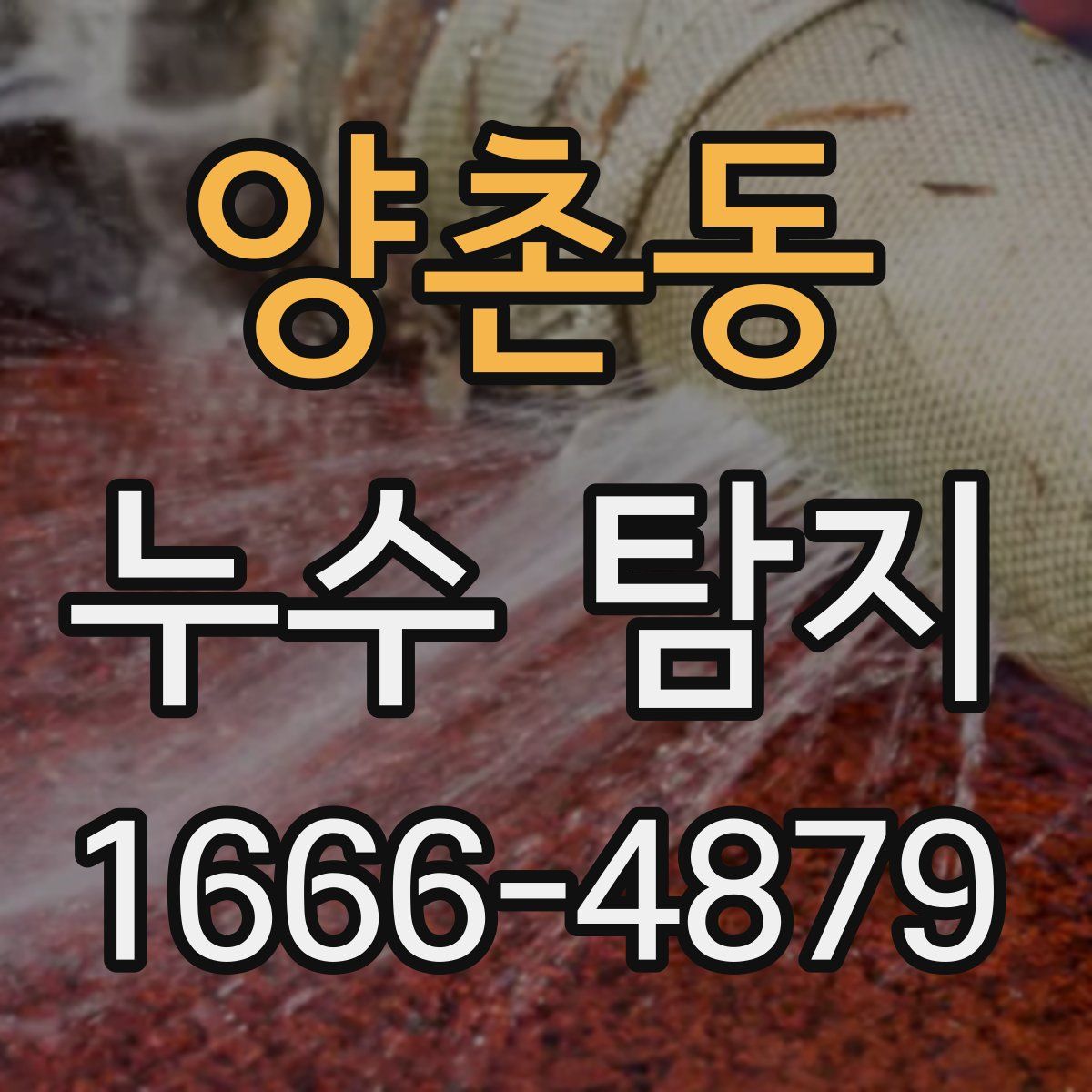 양촌동 누수 탐지