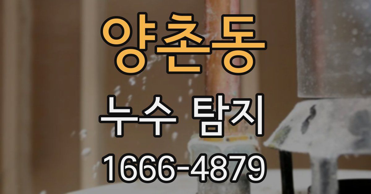 양촌동 누수 탐지