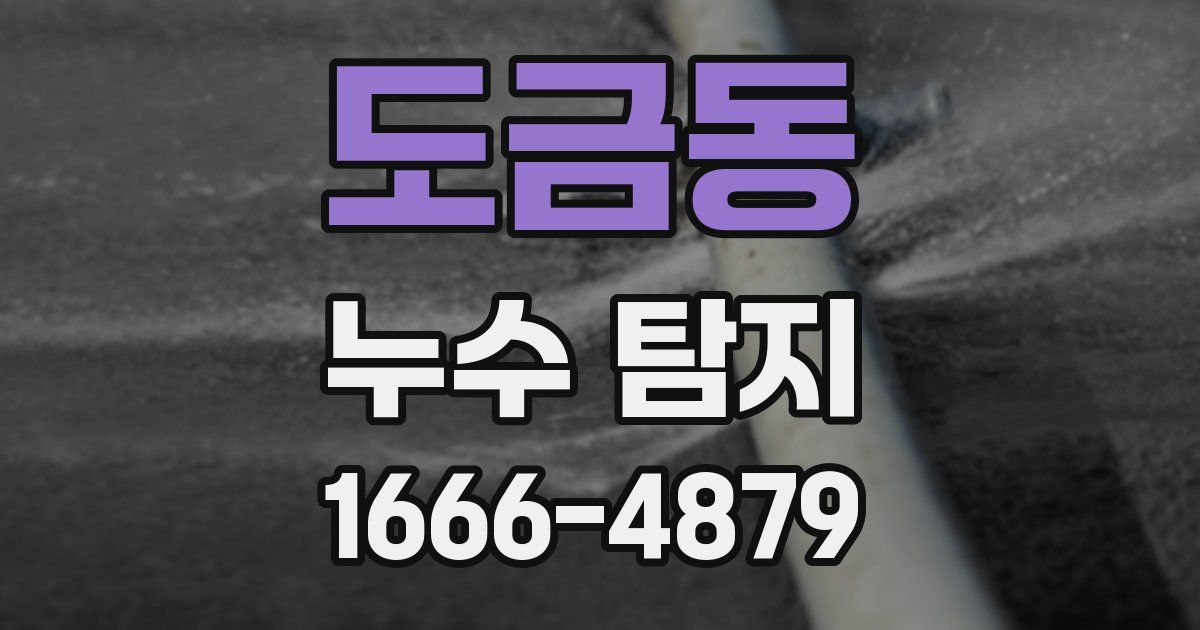 도금동 누수 탐지
