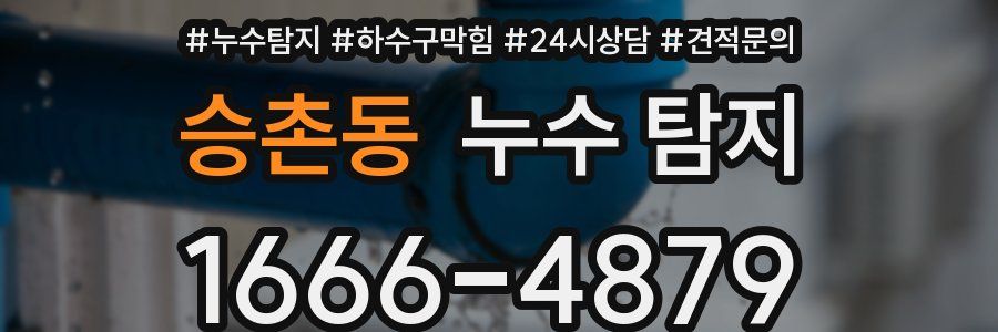 승촌동 누수 탐지