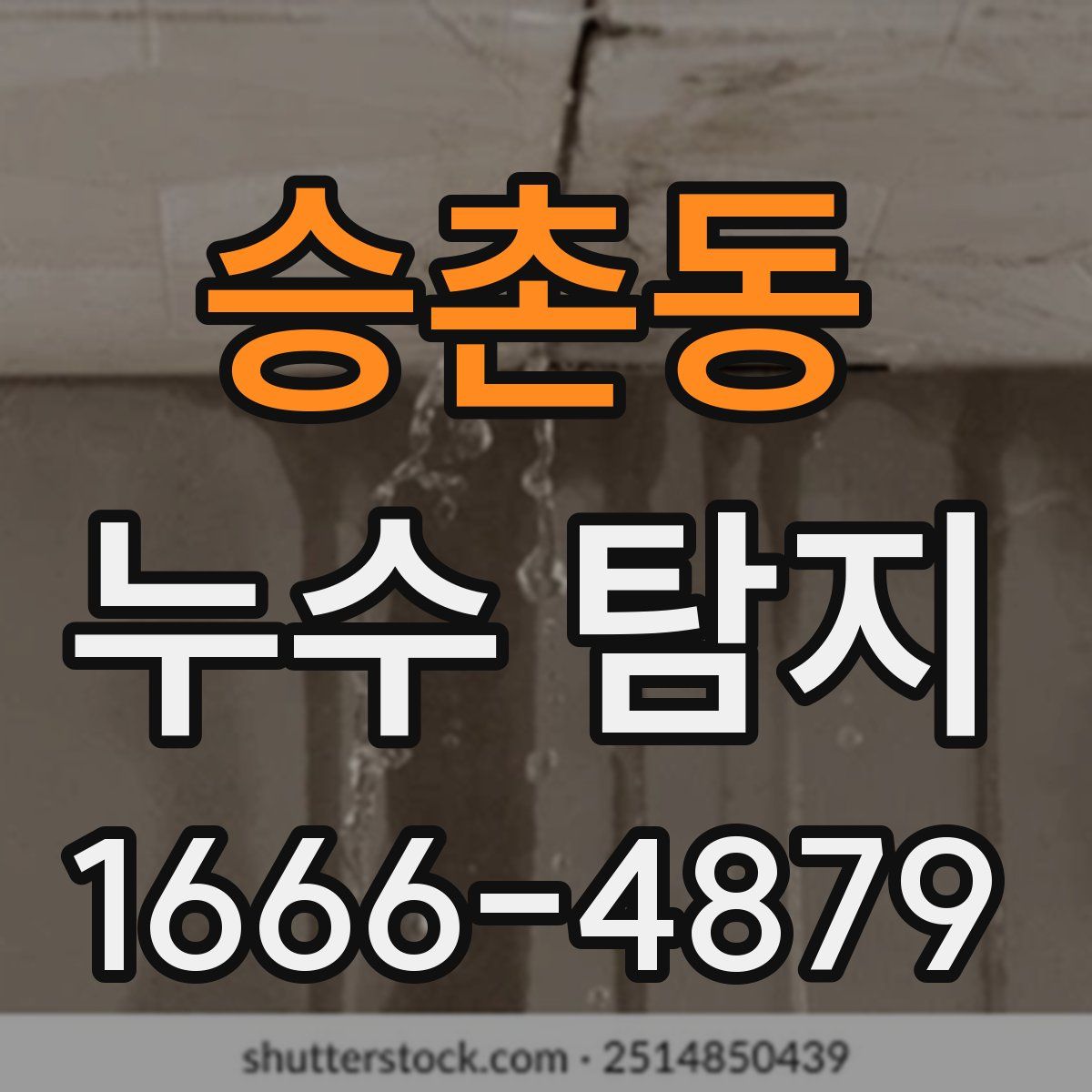 승촌동 누수 탐지