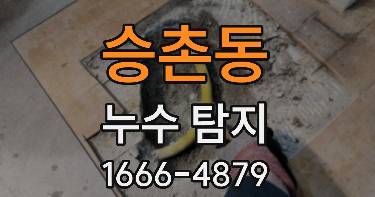 승촌동 누수 탐지