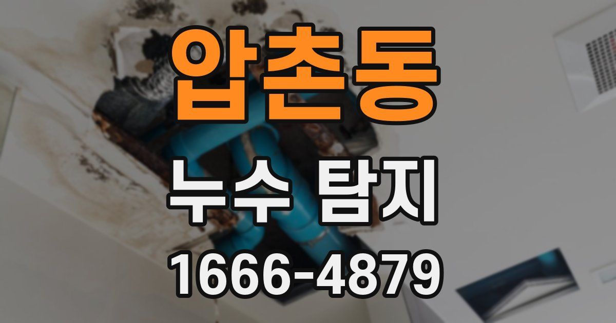 압촌동 누수 탐지