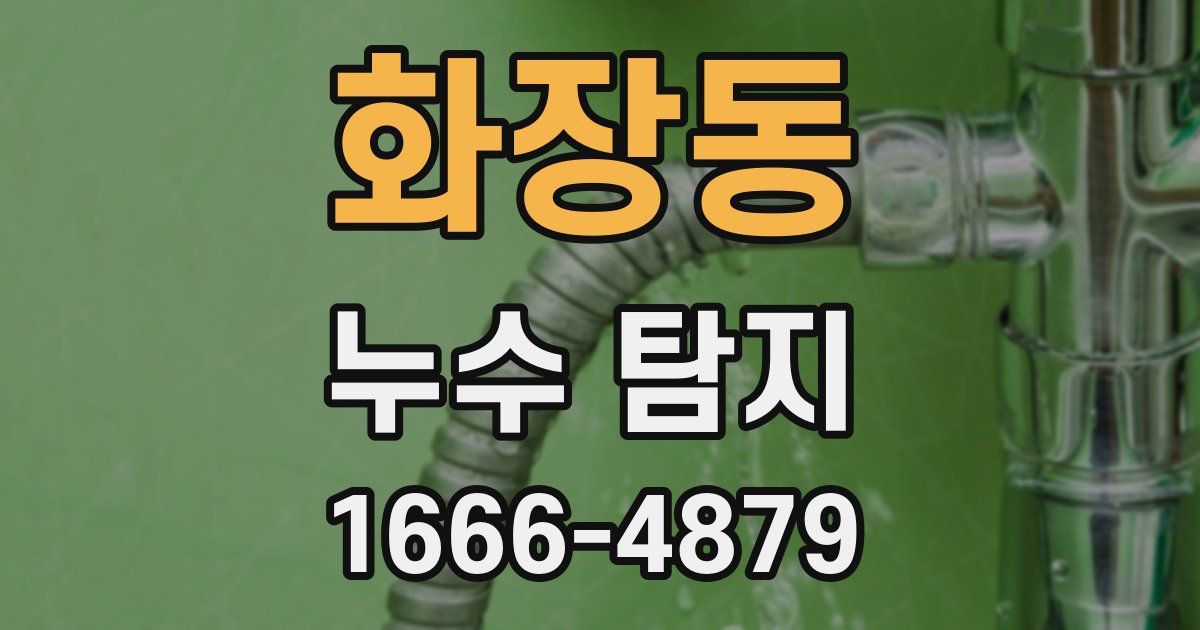 화장동 누수 탐지