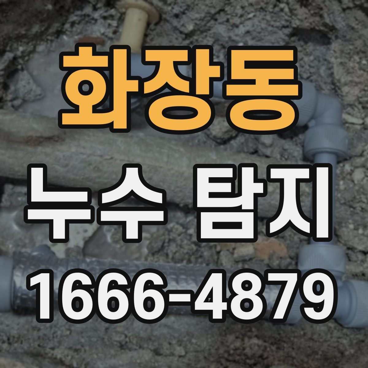 화장동 누수 탐지