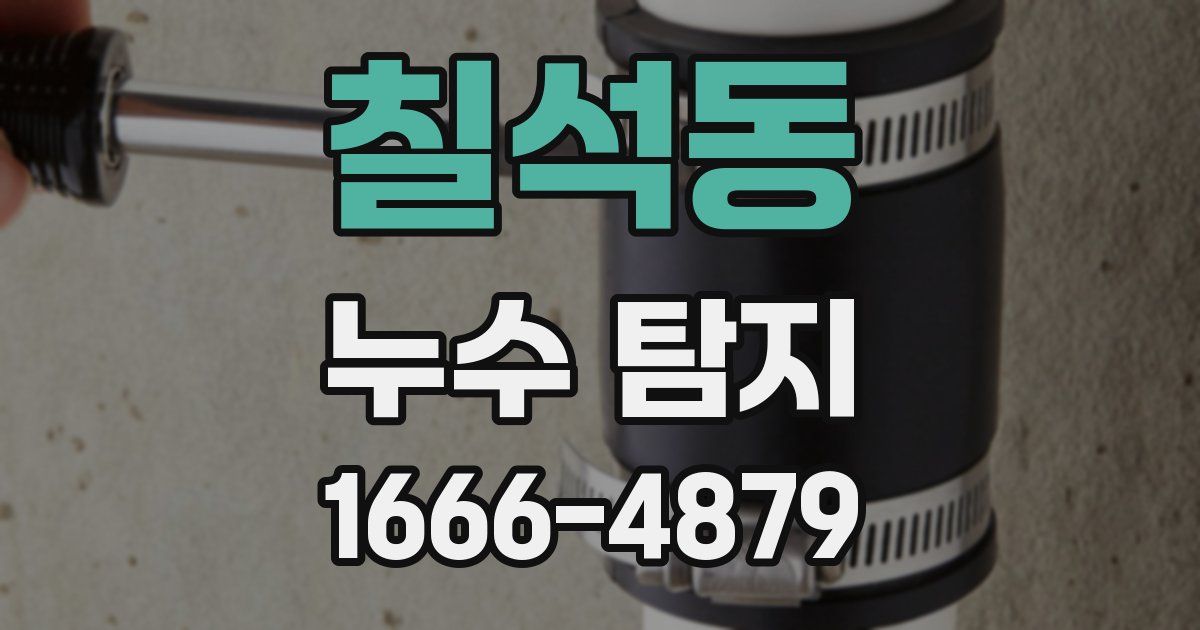 칠석동 누수 탐지