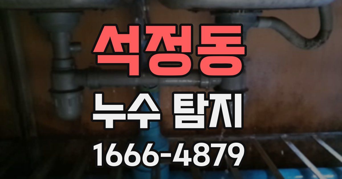 석정동 누수 탐지