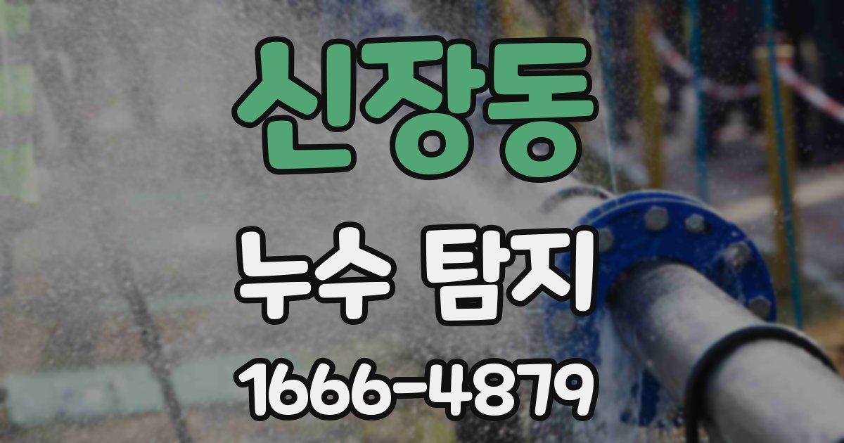 신장동 누수 탐지