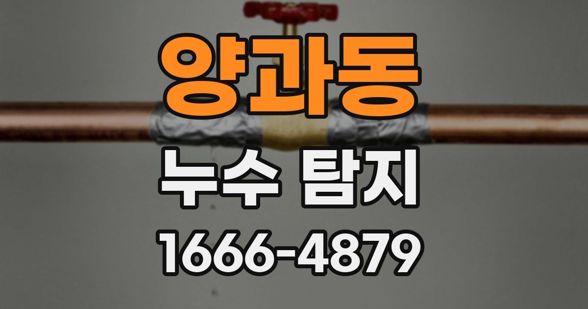 양과동 누수 탐지