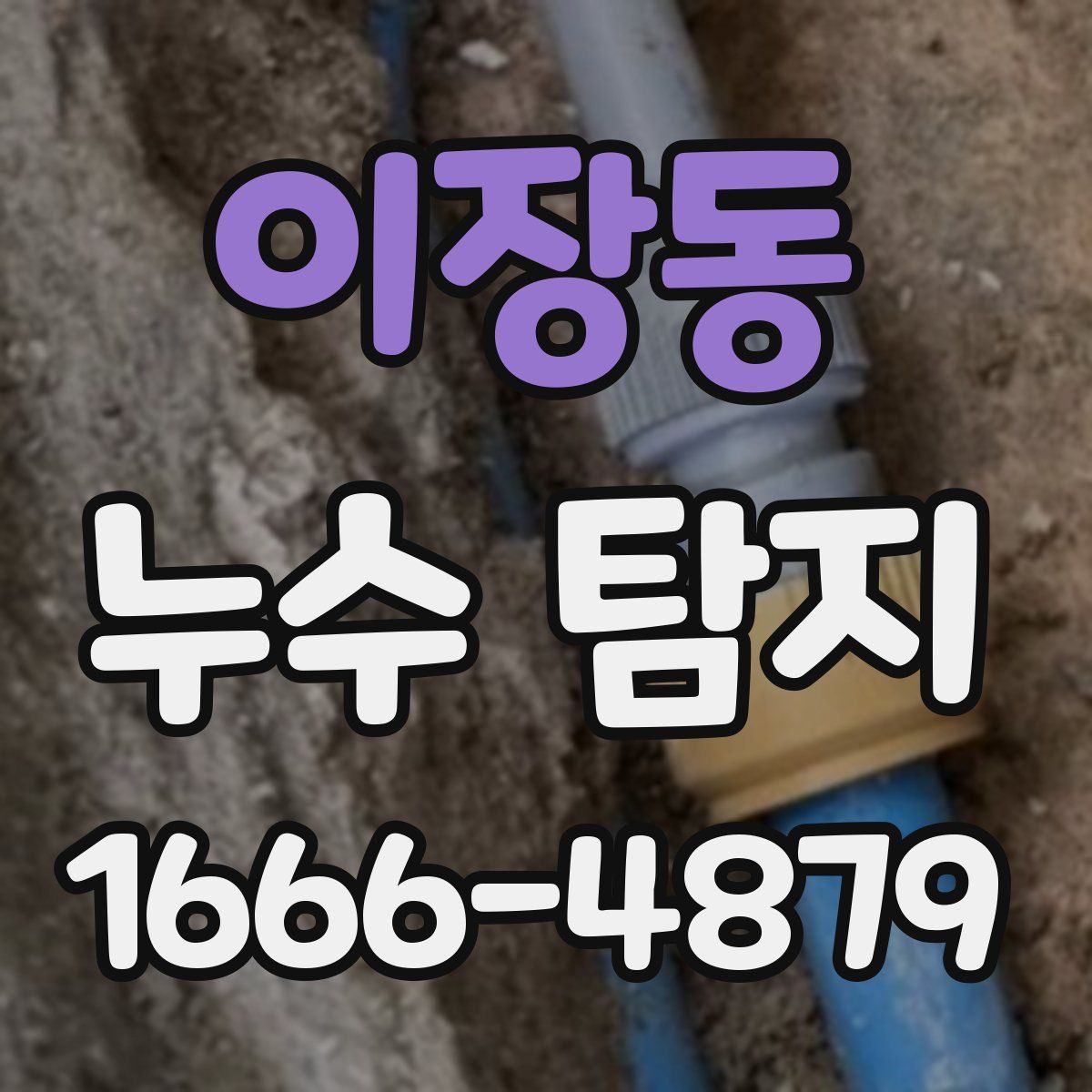 이장동 누수 탐지