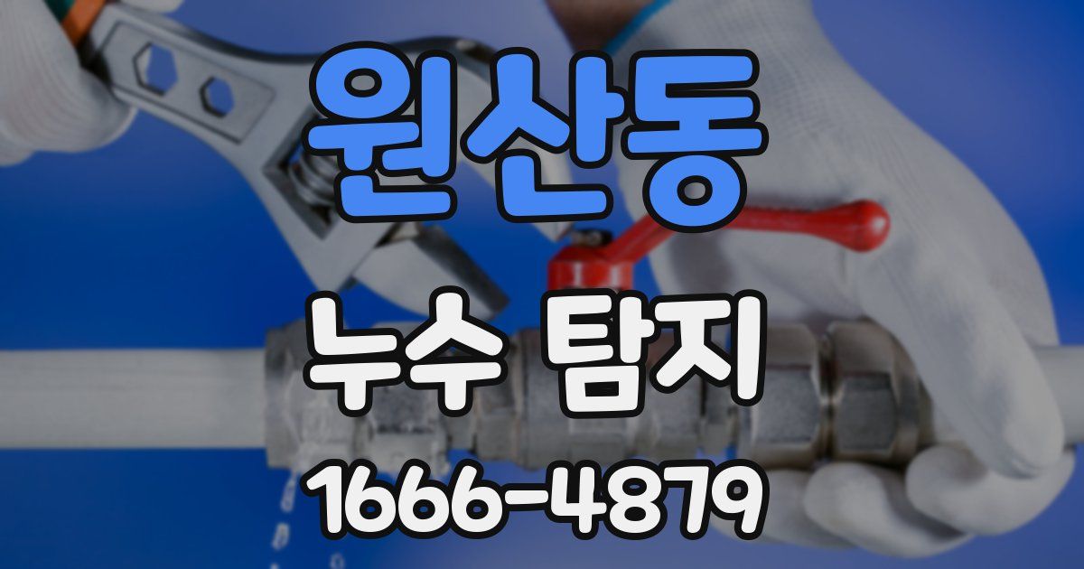 원산동 누수 탐지