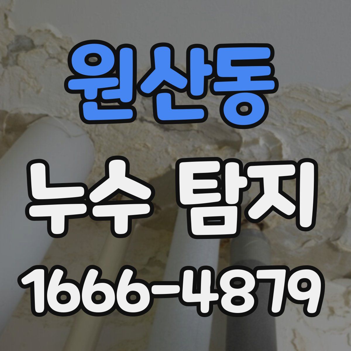 원산동 누수 탐지