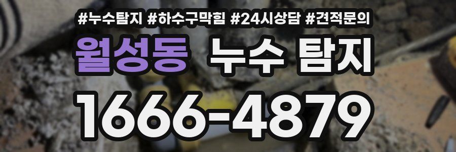 월성동 누수 탐지