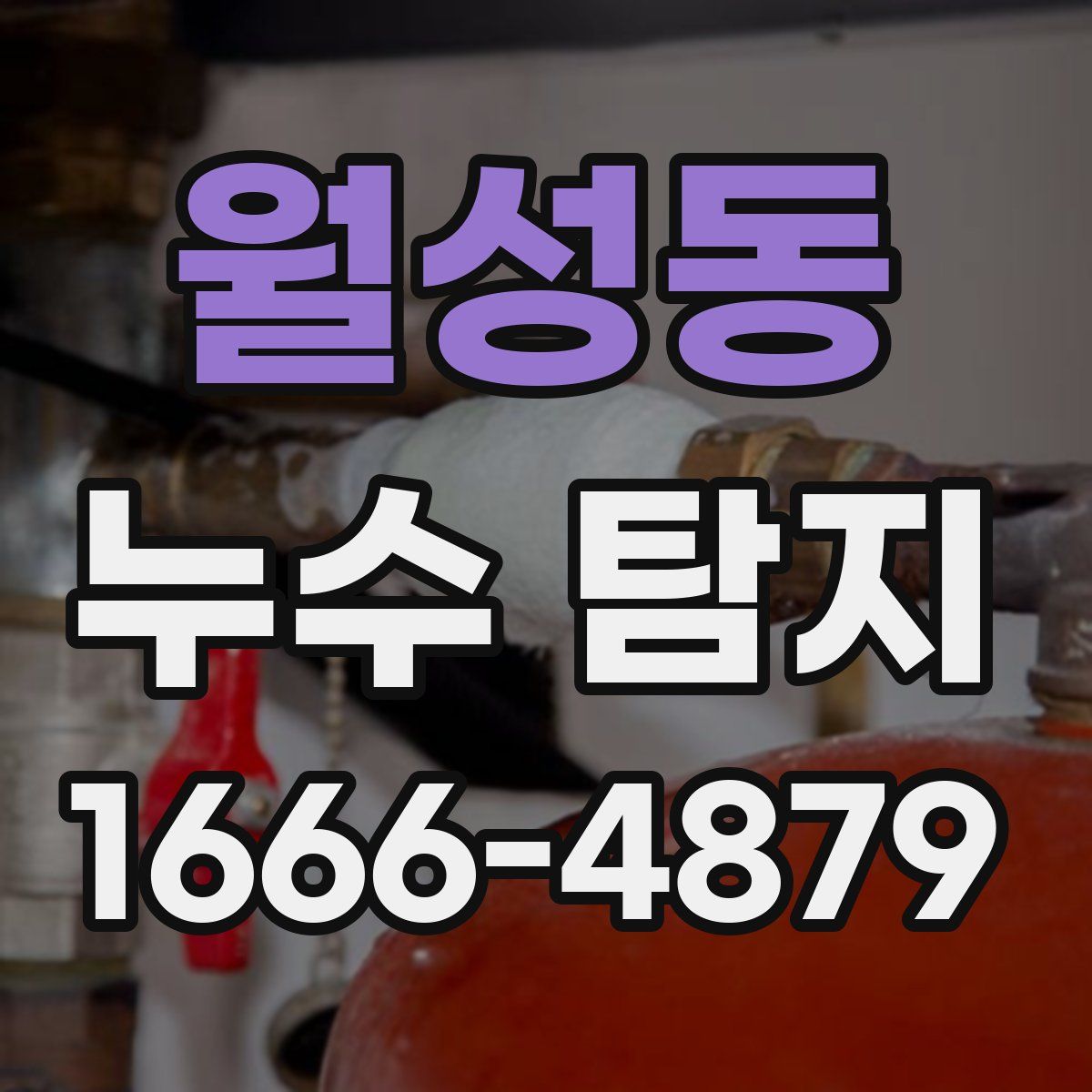 월성동 누수 탐지