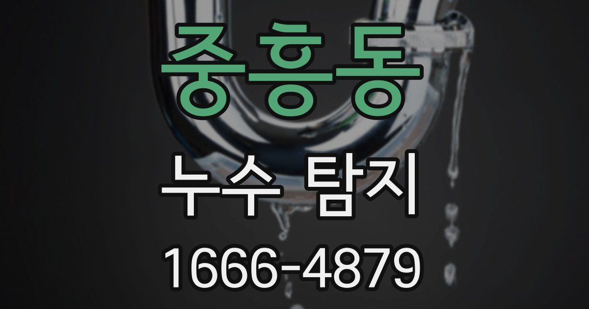중흥동 누수 탐지
